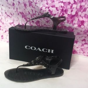 Coach jellies